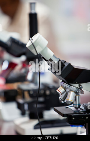 Mikroskopie Stockfoto
