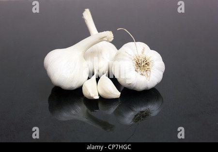 Eine Glühbirne von Knoblauch (Allium Sativum) und Nelken in schwarzem Hintergrund Stockfoto