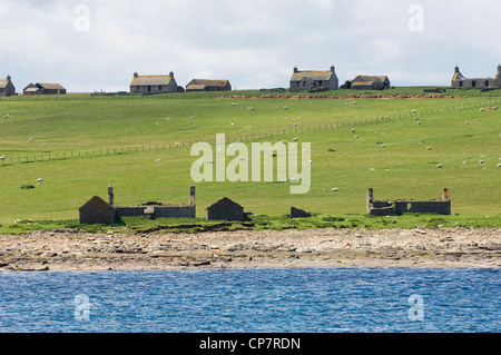 Zerstörten Crofts auf der Insel Stroma, Caithness, Schottland. Stockfoto
