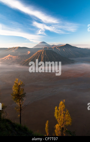 Gunung Bromo Vulkan auf der Insel Java in Indonesien Stockfoto