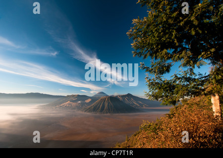 Gunung Bromo Vulkan auf der Insel Java in Indonesien Stockfoto