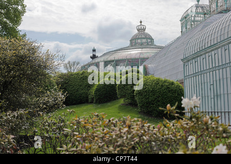 Königlichen Gewächshäuser in Laeken, Belgien Stockfoto