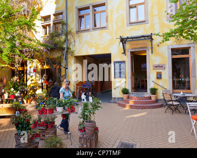 Shop in der Kunsthofpassage (Kunsthof Passage) - Dresden, Sachsen, Deutschland, Europa Stockfoto