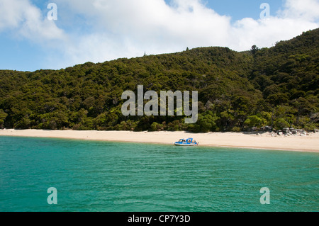 Neuseeland Südinsel Landschaft in der Nähe von Tonga Steinbruch Abel Tasman Nationalpark Stockfoto