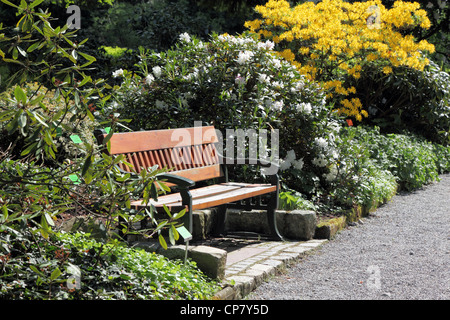 Bank unter einem blühenden Azaleen und Rhododendren im Frühjahr Arboretum, Stockfoto
