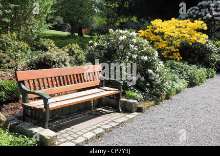 Bank unter einem blühenden Azaleen und Rhododendren im Frühjahr Arboretum, Stockfoto