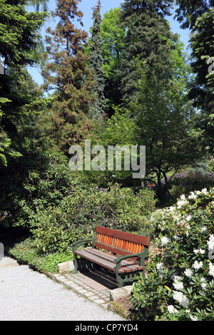 Bank unter einem blühenden Azaleen und Rhododendren im Frühjahr Arboretum, Stockfoto
