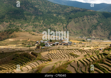 Das Dorf von Sopsokha inmitten Reihenhaus Reis Grundstücke, Bhutan Stockfoto