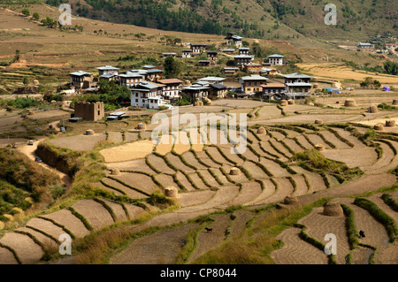 Das Dorf von Sopsokha inmitten Reihenhaus Reis Grundstücke, Bhutan Stockfoto