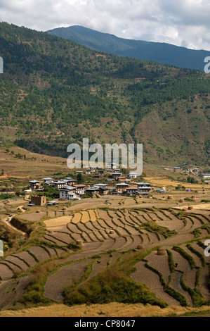 Das Dorf von Sopsokha inmitten Reihenhaus Reis Grundstücke, Bhutan Stockfoto