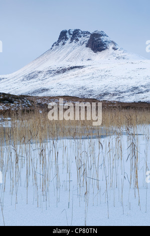 Stac Pollaidh von Loch Lurgainn, Coigach, Ross-Shire, Schottland. Stockfoto