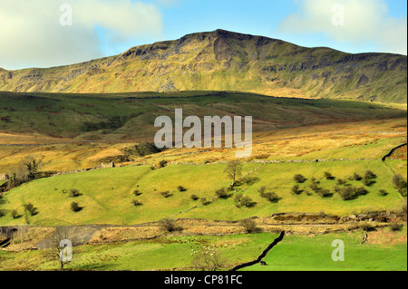 Wildschwein fiel. Mallerstang, Yorkshire Dales National Park, Cumbria, England, Vereinigtes Königreich, Europa. Stockfoto