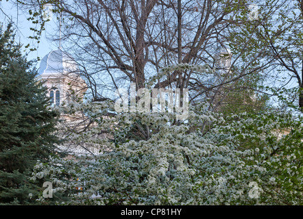 Nevada State Capitol, Frühling. Stockfoto