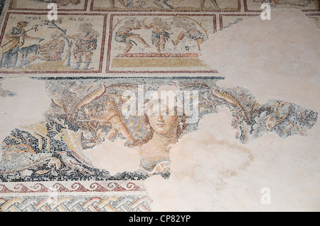 Dionysos-Mosaik, Mosaik Boden der römischen Villa Mona Lisa von Galiläa Stockfoto