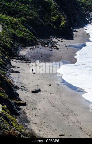 Szenen aus Goat Rock State Beach in Sonoma County an der Mündung des Flusses Russisch Stockfoto