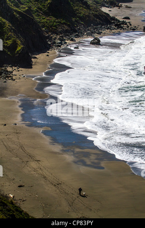 Szenen aus Goat Rock State Beach in Sonoma County an der Mündung des Flusses Russisch Stockfoto