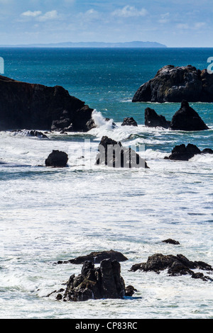Szenen aus Goat Rock State Beach in Sonoma County an der Mündung des Flusses Russisch Stockfoto