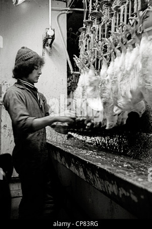 Schlachthaus in Huhn-Fabrik mit Minderjährige Arbeiter Großbritannien 1970 Stockfoto