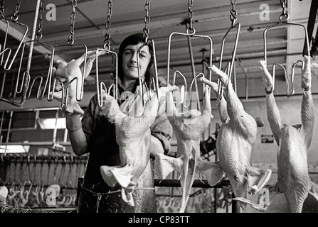 Schlachthaus in Huhn-Fabrik mit Minderjährige Arbeiter Großbritannien 1970 Stockfoto