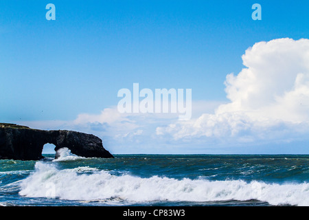 Szenen aus Goat Rock State Beach in Sonoma County an der Mündung des Flusses Russisch Stockfoto