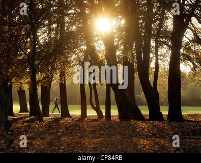 Aufwachen durch Alexandra Park Moss Side Manchester Stockfoto