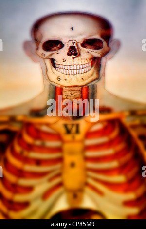 Anatomie, medizinische Illustration der Menschen, Aufklappbare Anatomische, Zweigbibliothek Darstellung des Mannes, digitale geschält Stockfoto