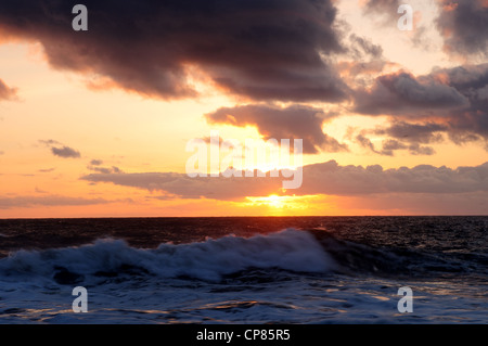 Thornwick Bay Flamborough Head East Coast Yorkshire England. Stockfoto