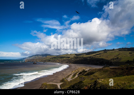 Die Mündung des Flusses Russisch von Goat Rock State Beach in Sonoma County an der kalifornischen Küste Stockfoto