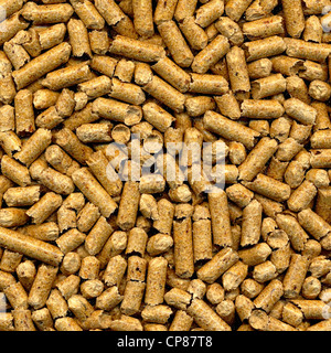Holz-Pellets, hartes Holz zum Heizen, Holzpellets gepresst Stockfoto