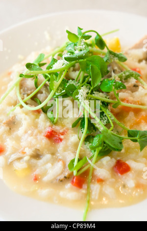 Risotto Ai Funghi mit Parseley. Stockfoto