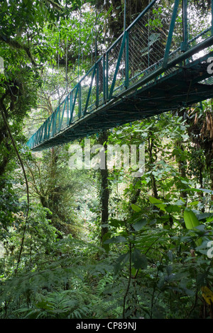 Hängebrücke im Selvatura Park, Monteverde Costa Rica Stockfoto