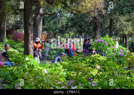 Jing Shan Park. Peking, China. Stockfoto