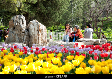 Jing Shan Park. Peking, China. Stockfoto