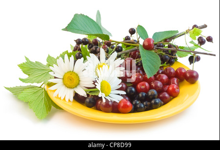 Reife schwarze Johannisbeere und Kirsche auf einem Teller mit Kamillen. Isoliert auf weiss. Stockfoto