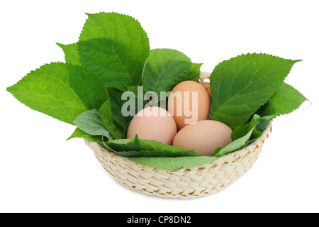 Ländliche Ostereier in einem Nest aus grünen Blättern. Isoliert auf weiss. Stockfoto