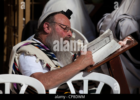 Jüdische alte lesen Torah mit Tefillin & Schal an Klagemauer, Jerusalem zu beten. Israel Stockfoto