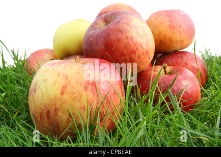 Der Haufen Autmn Äpfel liegt auf einer Wiese. Isoliert auf weißem, selektiven Fokus. Stockfoto