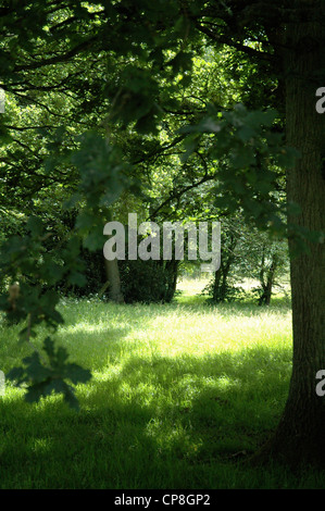 Landschaft von Sussex an einem sonnigen Tag. Stockfoto