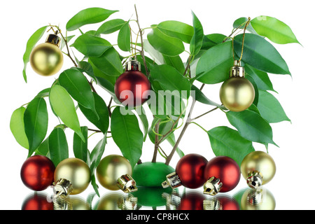 Weihnachtsbaum aus Palmzweige mit Bällen und Reflexion in einem Spiegel. Isoliert auf weiss Stockfoto