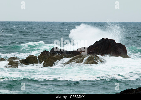 Wellen gegen Felsen in der Nordsee, direkt an der St. Abbs Head, Berwickshire, Schottland. Juni. Stockfoto