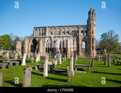 Elgin Cathedral, Moray, Grampian Region. Schottland.  SCO 8216 Stockfoto