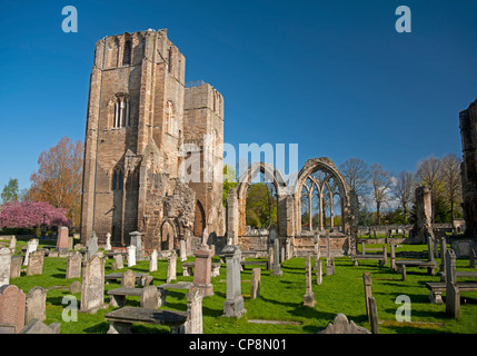 Elgin Cathedral, Moray, Grampian Region. Schottland.  SCO 8218 Stockfoto