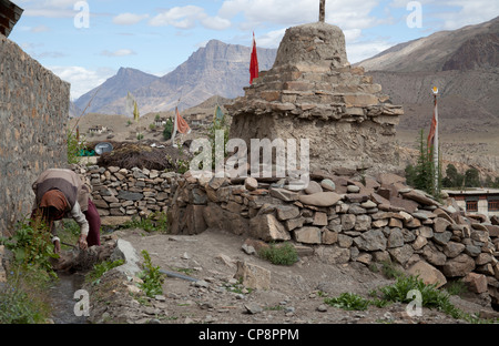 Das Spiti Tal, Himalaya, Himachal Pradesh, Indien Stockfoto