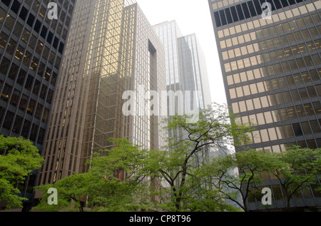 Bürotürme in der Innenstadt im Toronto Dominion (TD) Centre in einer Grünfläche im Finanzviertel von Toronto, Ontario, Kanada. Stockfoto