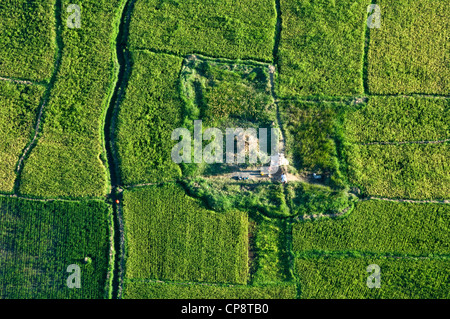 Tierheim-Hütte in Reisfeldern Reis, Luftaufnahme, Region Arusha, Tansania Stockfoto