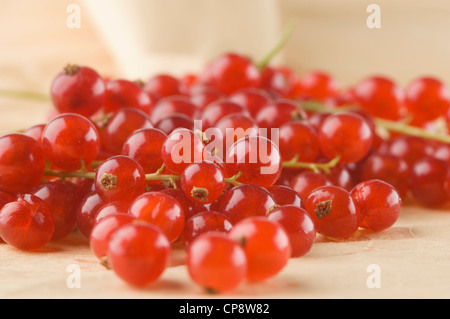 Rote Johannisbeeren auf Papiertüte, Nahaufnahme Stockfoto