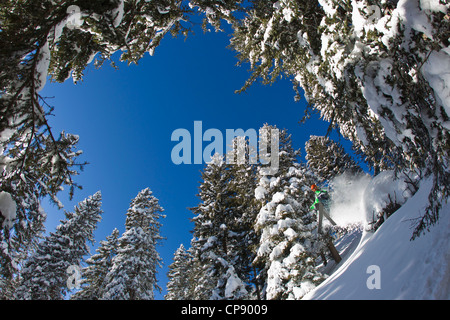 Österreich, Tirol, Kitzbühel, Mitte erwachsenen Mannes Skifahren Stockfoto