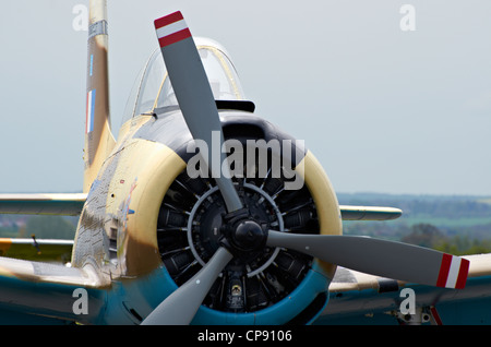 North American Aviation t-28 Fennec Jäger/Jagdbomber entwickelte sich aus der t-28 militärisches Schulflugzeug von den Franzosen. Stockfoto