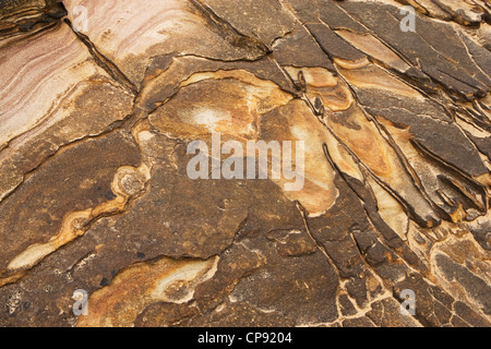 Full-Frame-Detail der Sandsteinfelsen an einem Strand in Northumberland, England Stockfoto