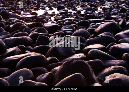 Felsen am Strand, Embleton Bay, Northumberland, UK Stockfoto